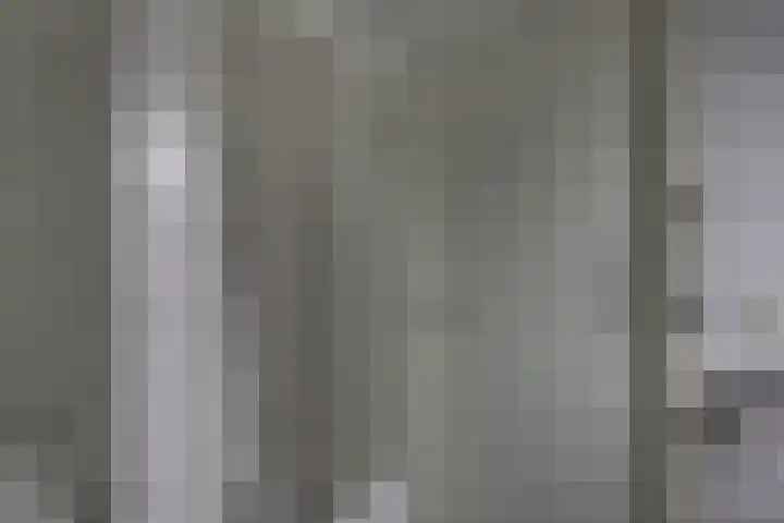 Kalmoes 1 Nijverdal thumbnail 24