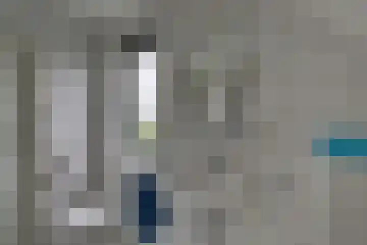 Kalmoes 1 Nijverdal thumbnail 25