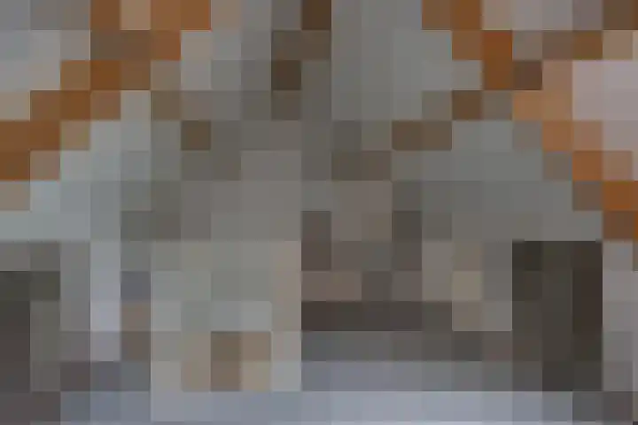 Kalmoes 1 Nijverdal thumbnail 28