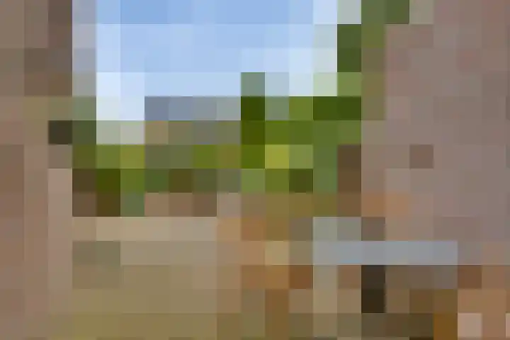 Kalmoes 1 Nijverdal thumbnail 29