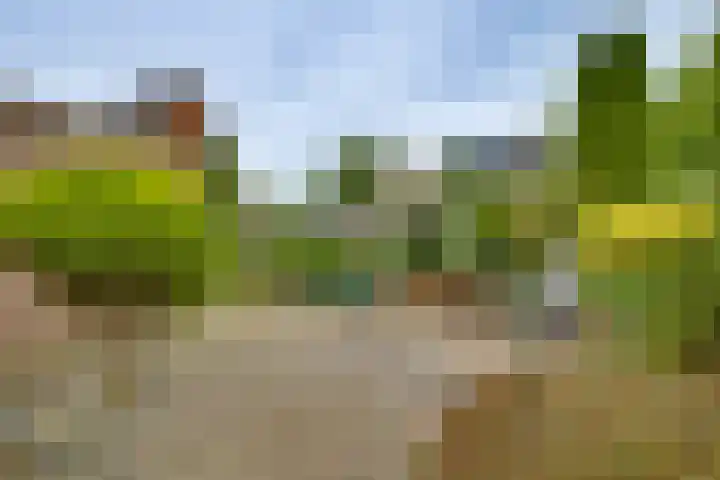 Kalmoes 1 Nijverdal thumbnail 30