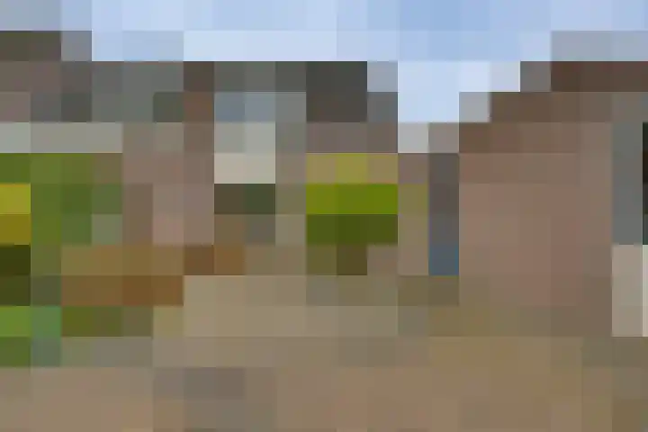 Kalmoes 1 Nijverdal thumbnail 31