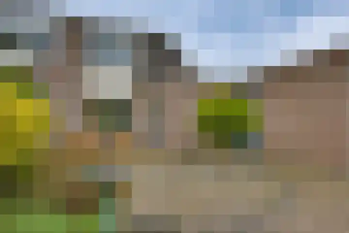 Kalmoes 1 Nijverdal thumbnail 32