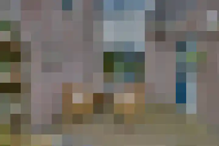Kalmoes 1 Nijverdal thumbnail 33