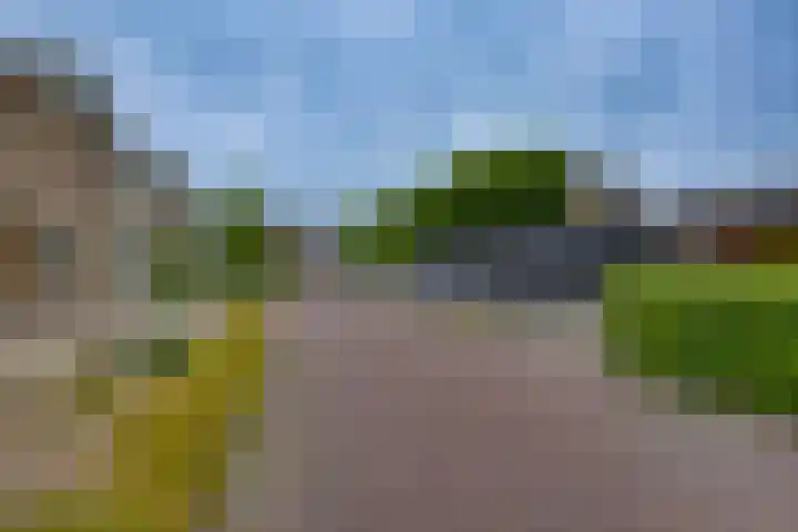 Kalmoes 1 Nijverdal thumbnail 36