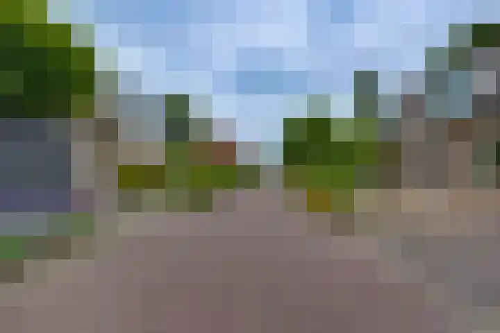 Kalmoes 1 Nijverdal thumbnail 37