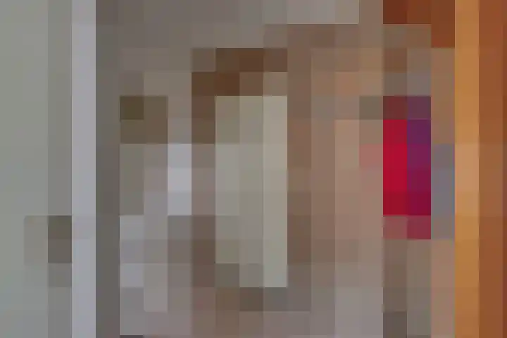 Kalmoes 1 Nijverdal thumbnail 4