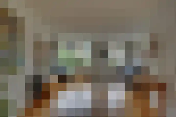 Kalmoes 1 Nijverdal thumbnail 5