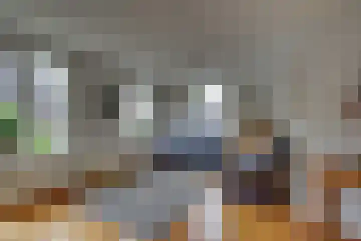 Kalmoes 1 Nijverdal thumbnail 6