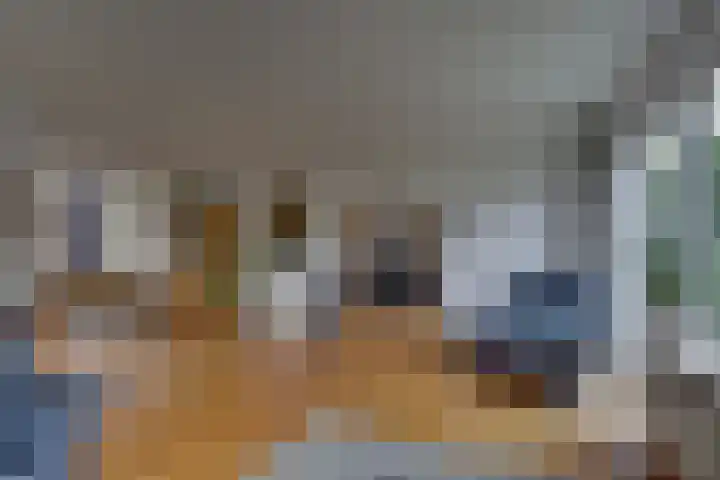 Kalmoes 1 Nijverdal thumbnail 8
