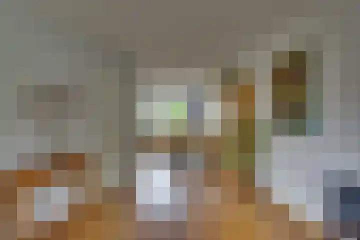Kalmoes 1 Nijverdal thumbnail 9