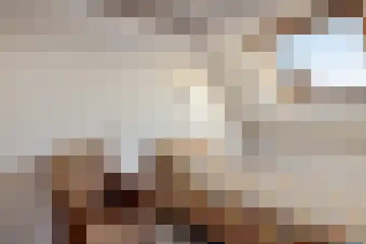 Kalmoes 100 Nieuw-Buinen thumbnail 16
