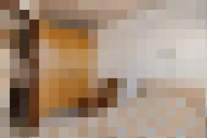 Kalmoes 100 Nieuw-Buinen thumbnail 17