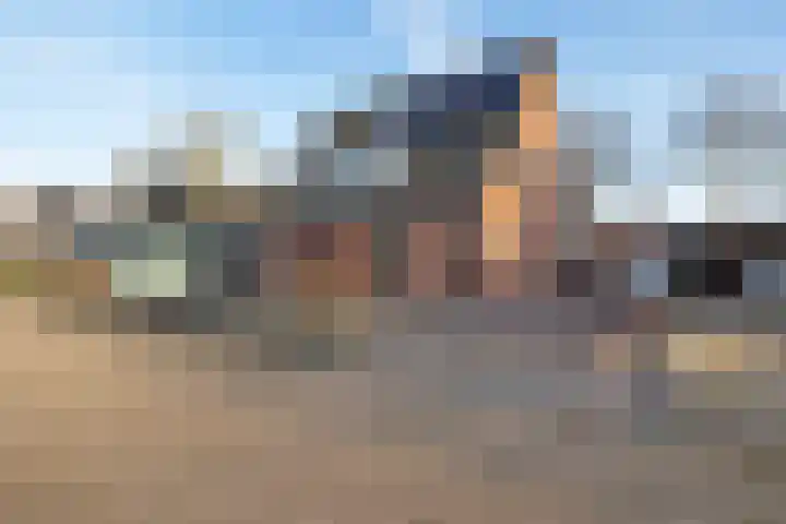 Kalmoes 100 Nieuw-Buinen foto 2