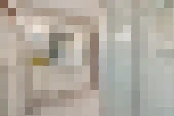 Kalmoes 100 Nieuw-Buinen thumbnail 20
