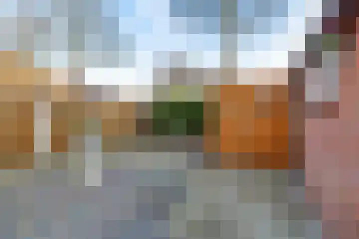 Kalmoes 100 Nieuw-Buinen thumbnail 21