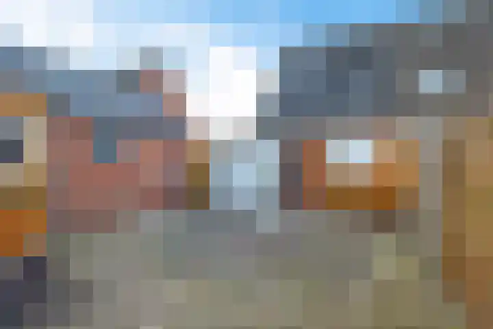 Kalmoes 100 Nieuw-Buinen thumbnail 22