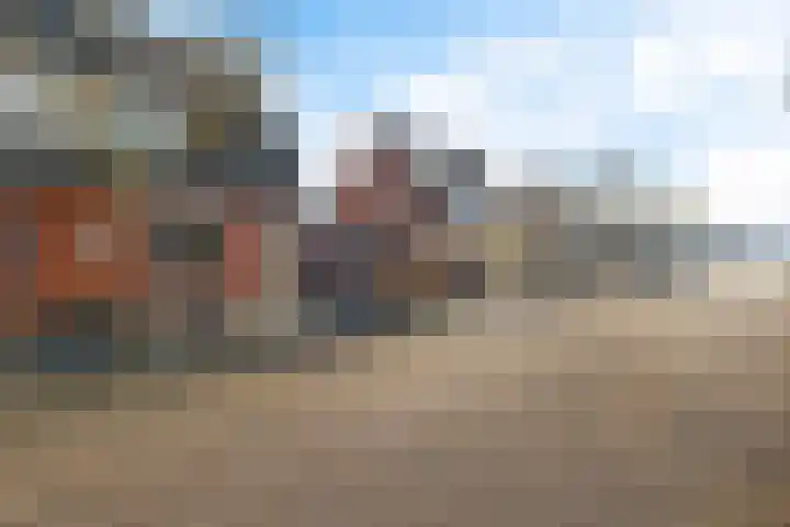 Kalmoes 100 Nieuw-Buinen thumbnail 24