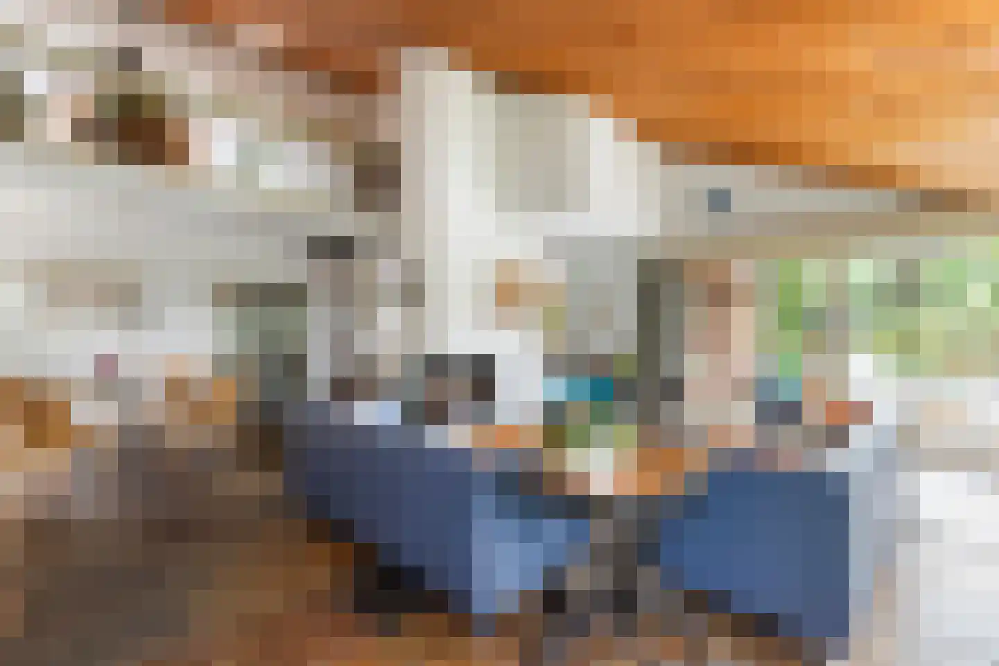 Kalmoes 12 Reeuwijk thumbnail 12