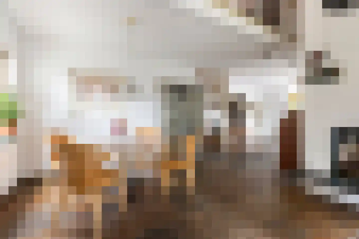 Kalmoes 12 Reeuwijk thumbnail 14