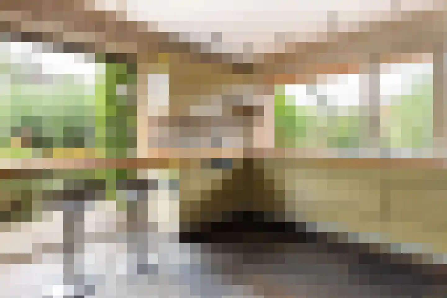 Kalmoes 12 Reeuwijk thumbnail 17