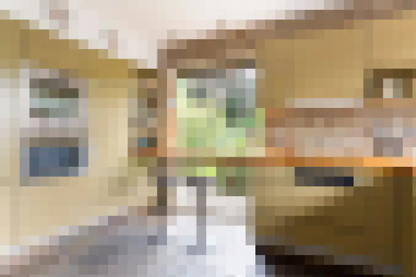 Kalmoes 12 Reeuwijk thumbnail 19
