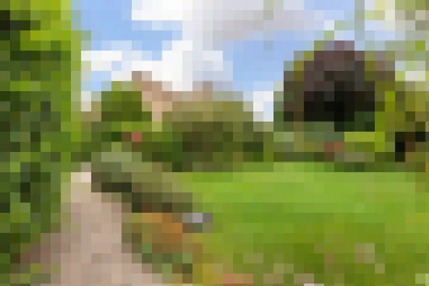 Kalmoes 12 Reeuwijk thumbnail 26