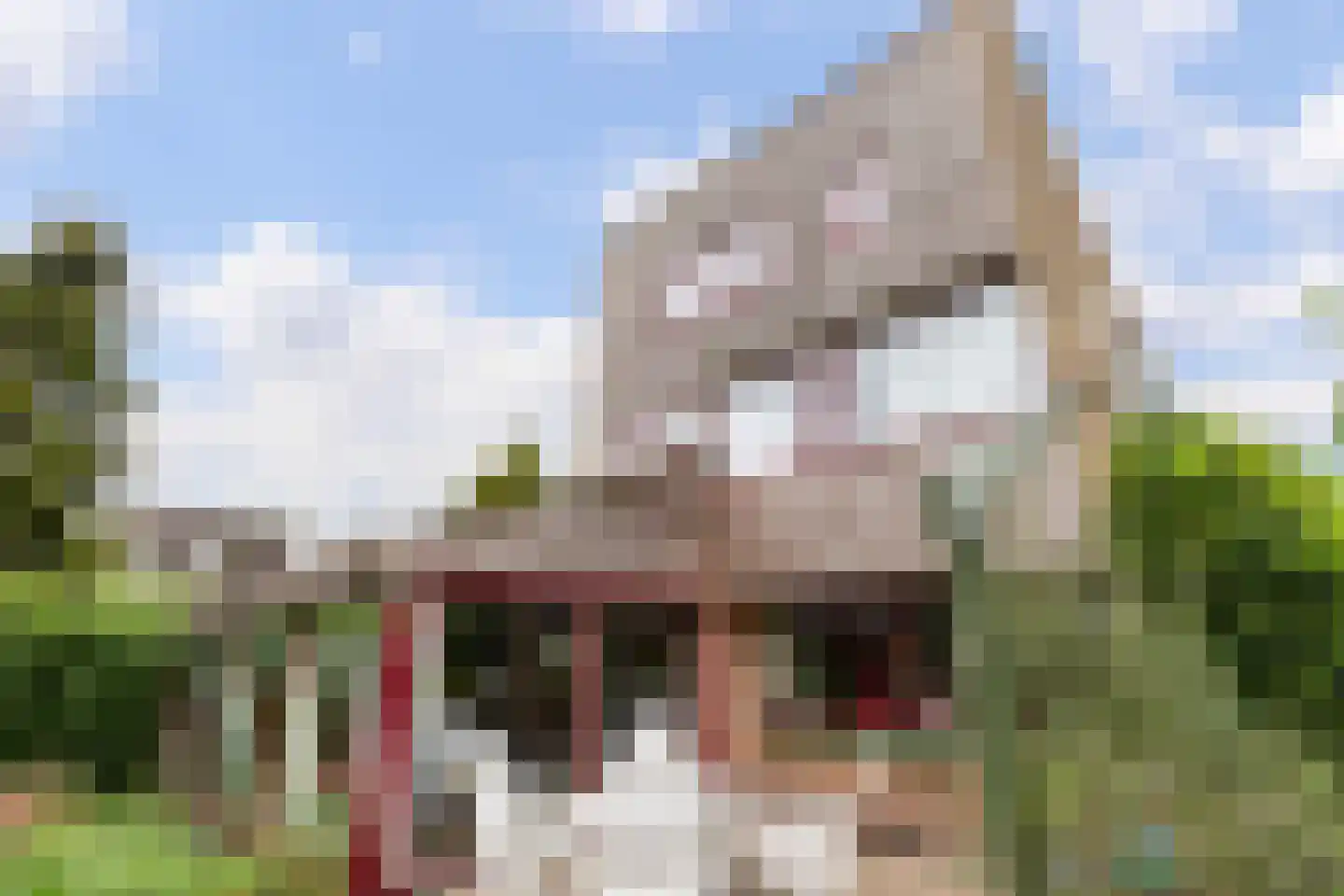 Kalmoes 12 Reeuwijk thumbnail 27