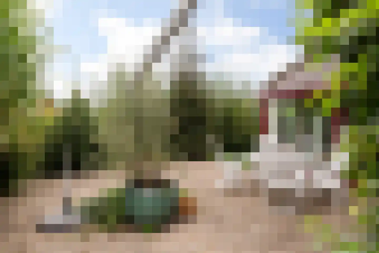 Kalmoes 12 Reeuwijk thumbnail 28