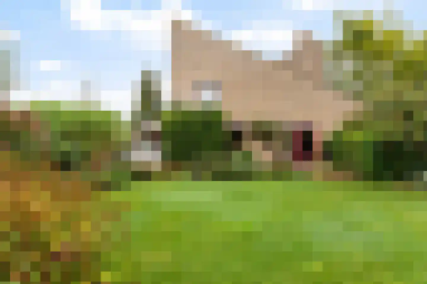 Kalmoes 12 Reeuwijk thumbnail 29