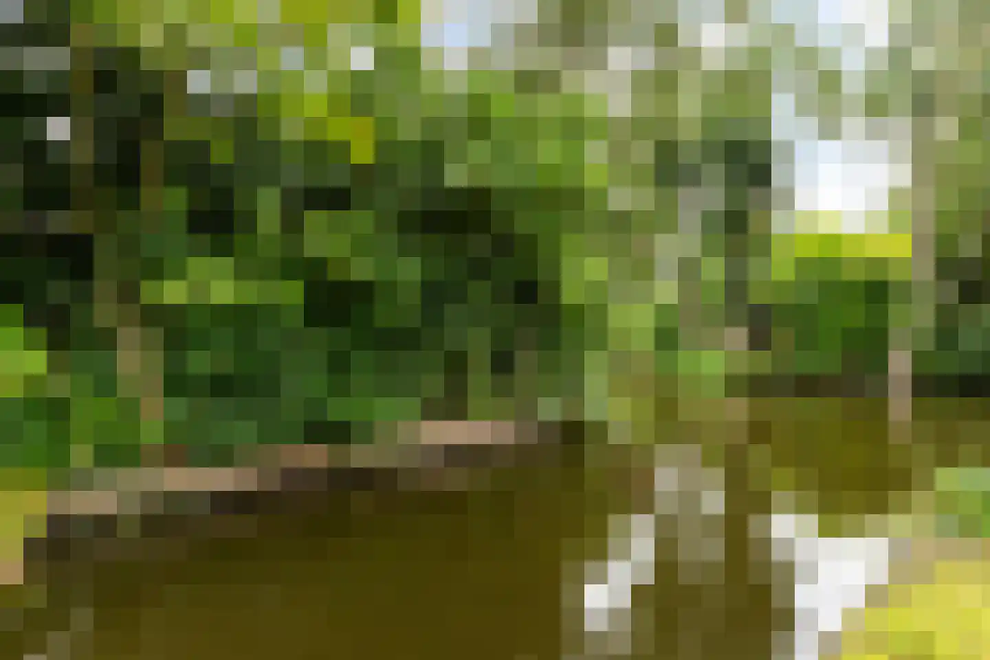 Kalmoes 12 Reeuwijk thumbnail 32