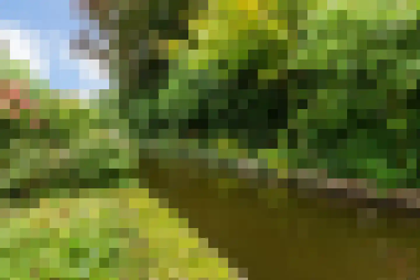 Kalmoes 12 Reeuwijk thumbnail 33