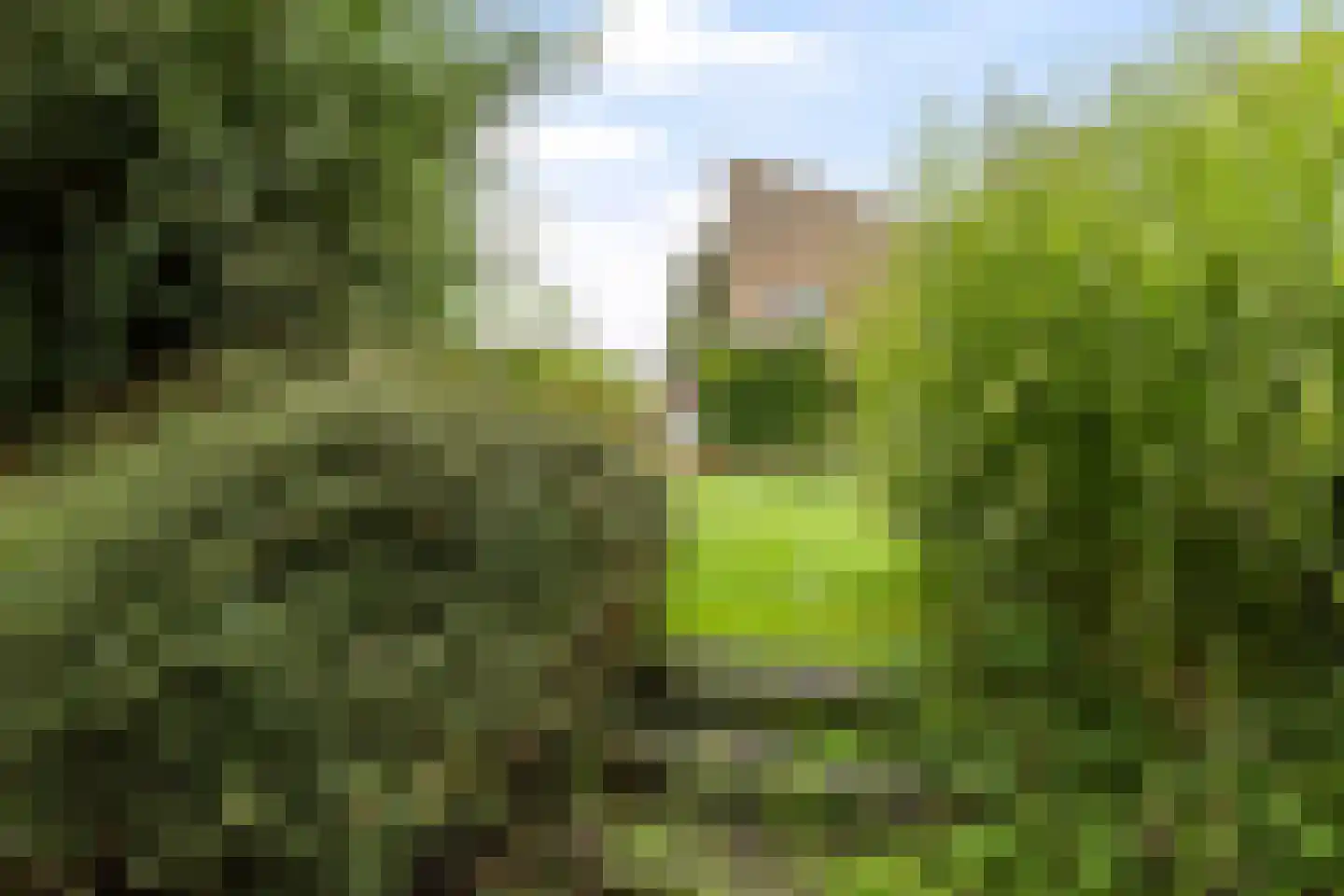 Kalmoes 12 Reeuwijk thumbnail 34