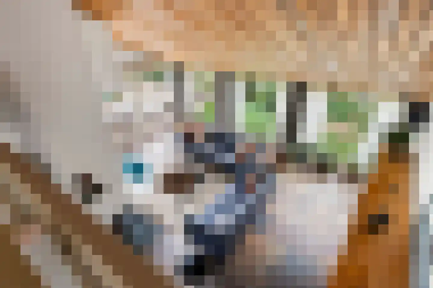 Kalmoes 12 Reeuwijk thumbnail 36