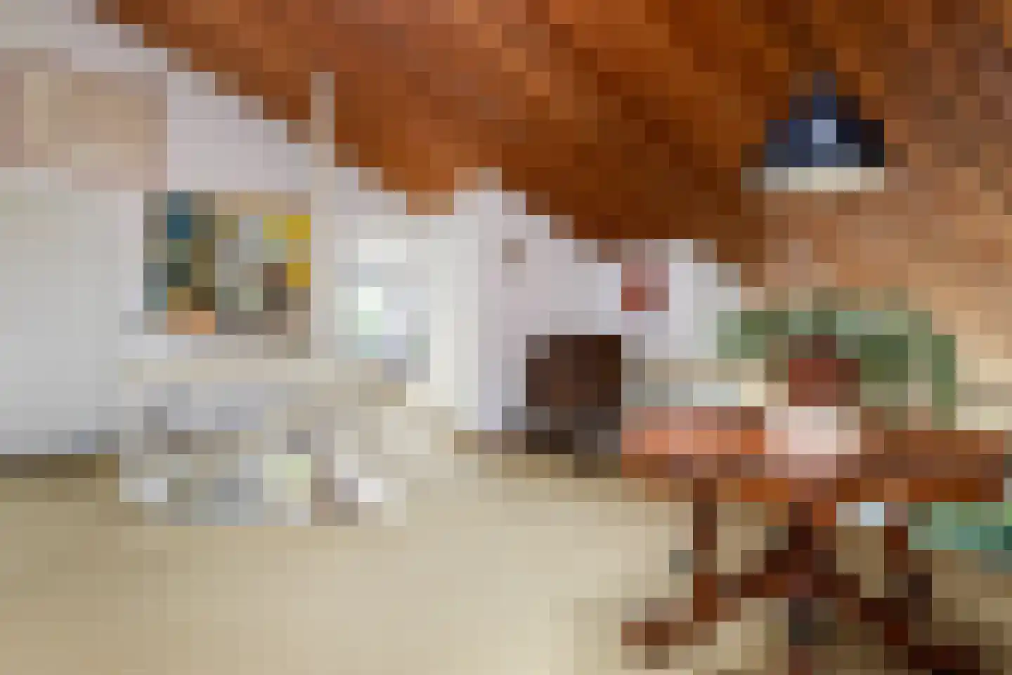 Kalmoes 12 Reeuwijk thumbnail 37