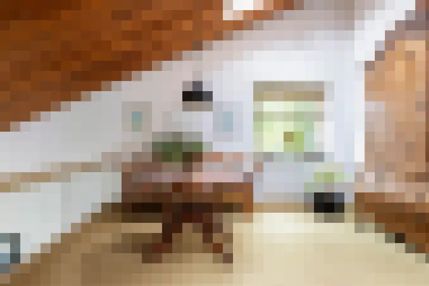 Kalmoes 12 Reeuwijk thumbnail 38