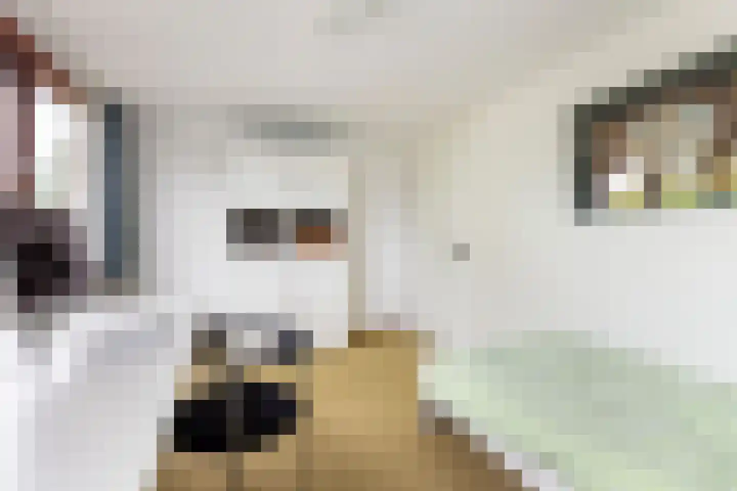 Kalmoes 12 Reeuwijk thumbnail 40