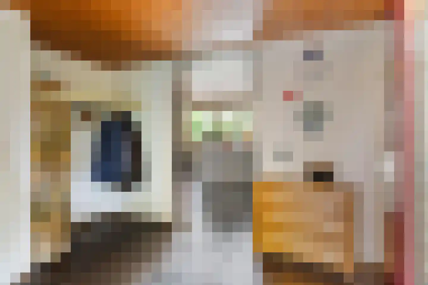 Kalmoes 12 Reeuwijk thumbnail 5