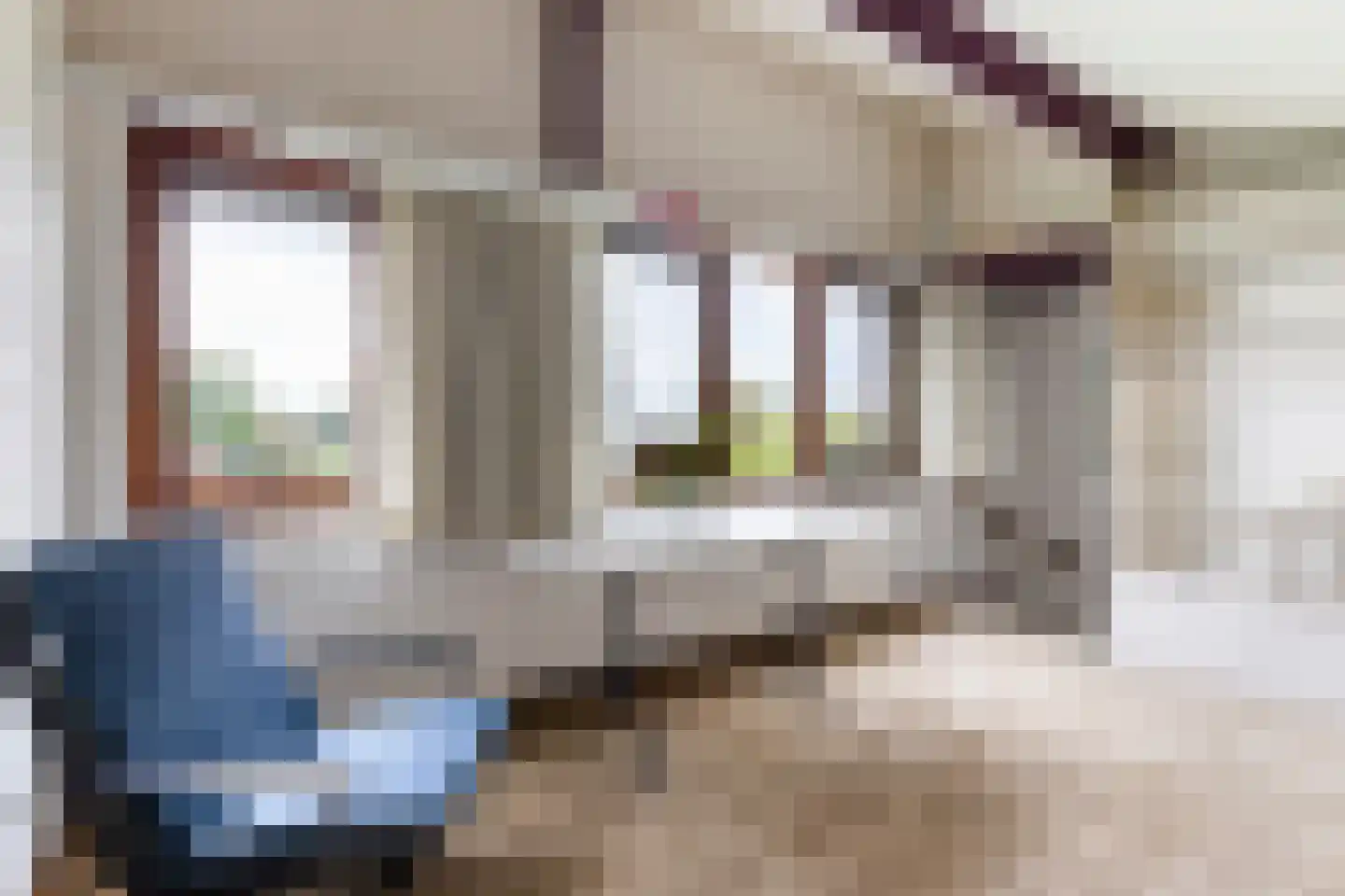 Kalmoes 12 Reeuwijk thumbnail 52