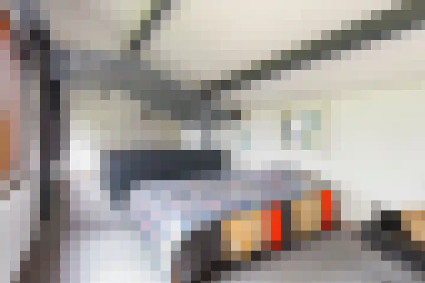 Kalmoes 12 Reeuwijk thumbnail 57