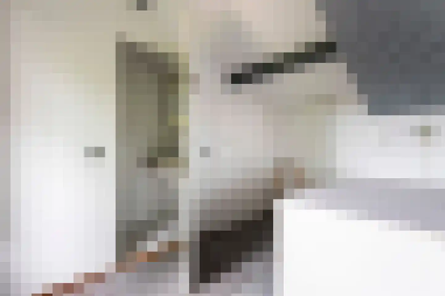 Kalmoes 12 Reeuwijk thumbnail 58