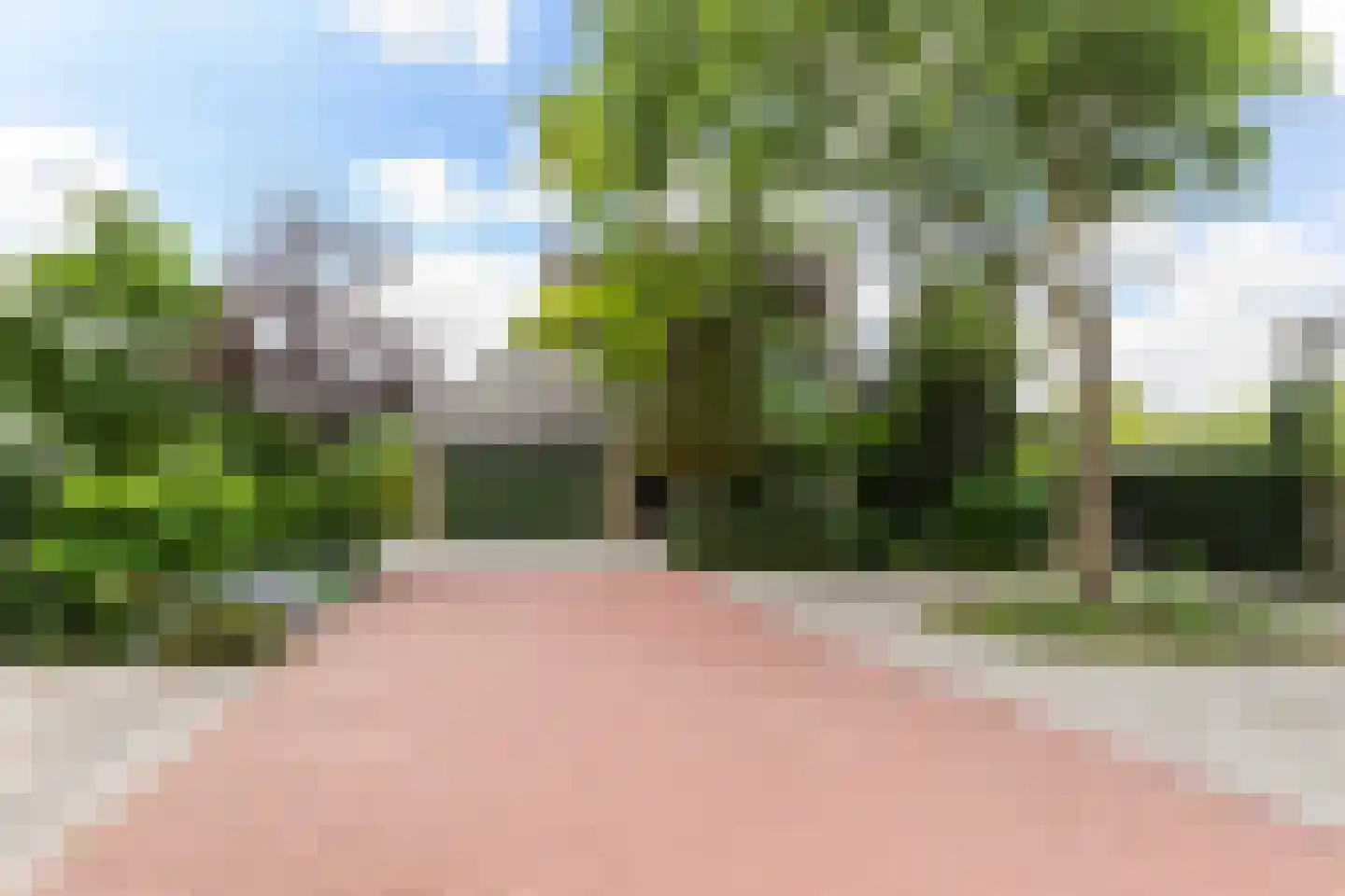 Kalmoes 12 Reeuwijk thumbnail 60