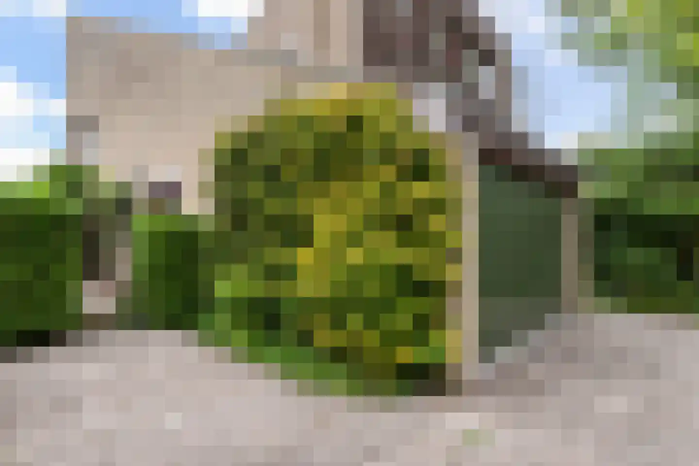 Kalmoes 12 Reeuwijk thumbnail 61