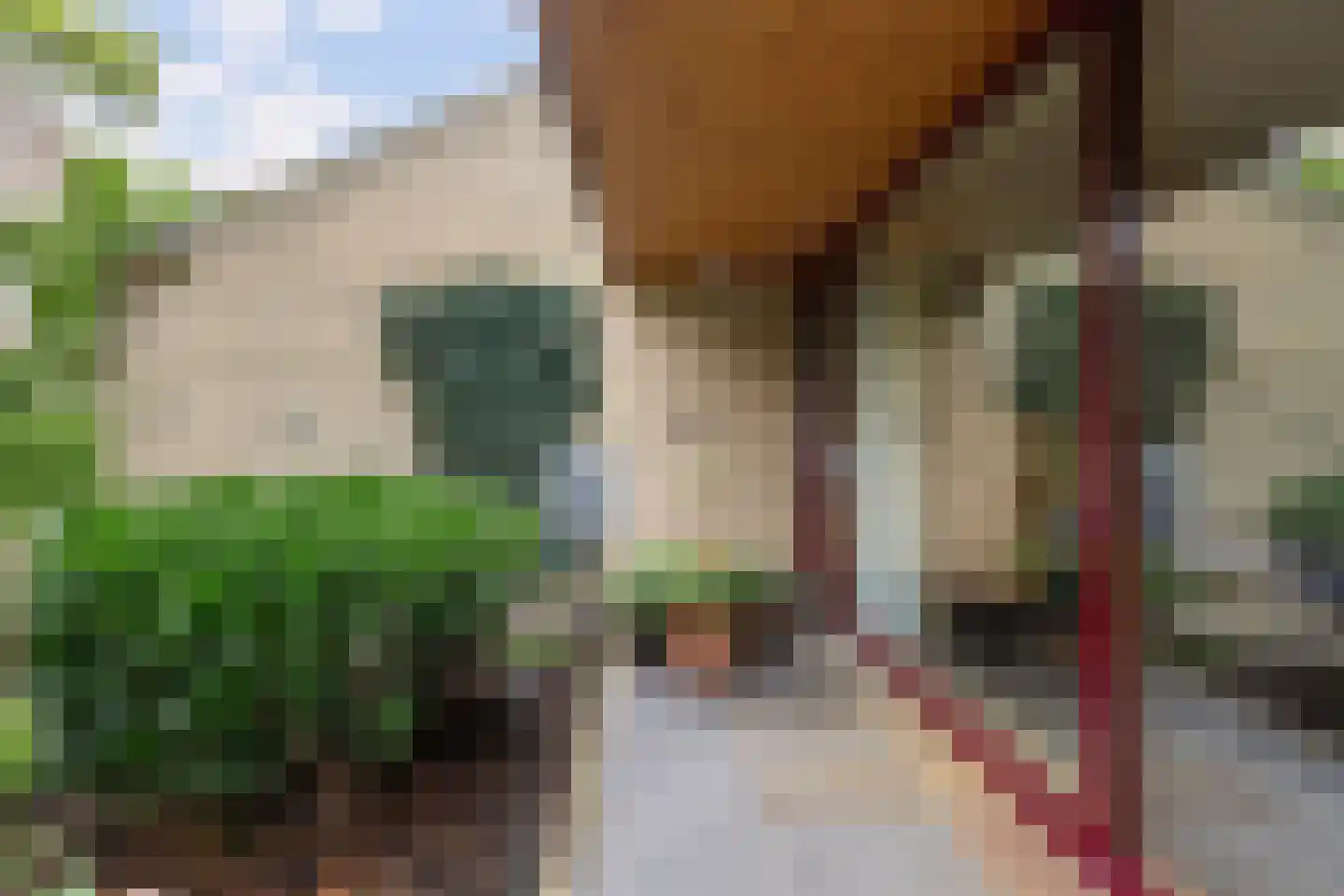 Kalmoes 12 Reeuwijk thumbnail 62