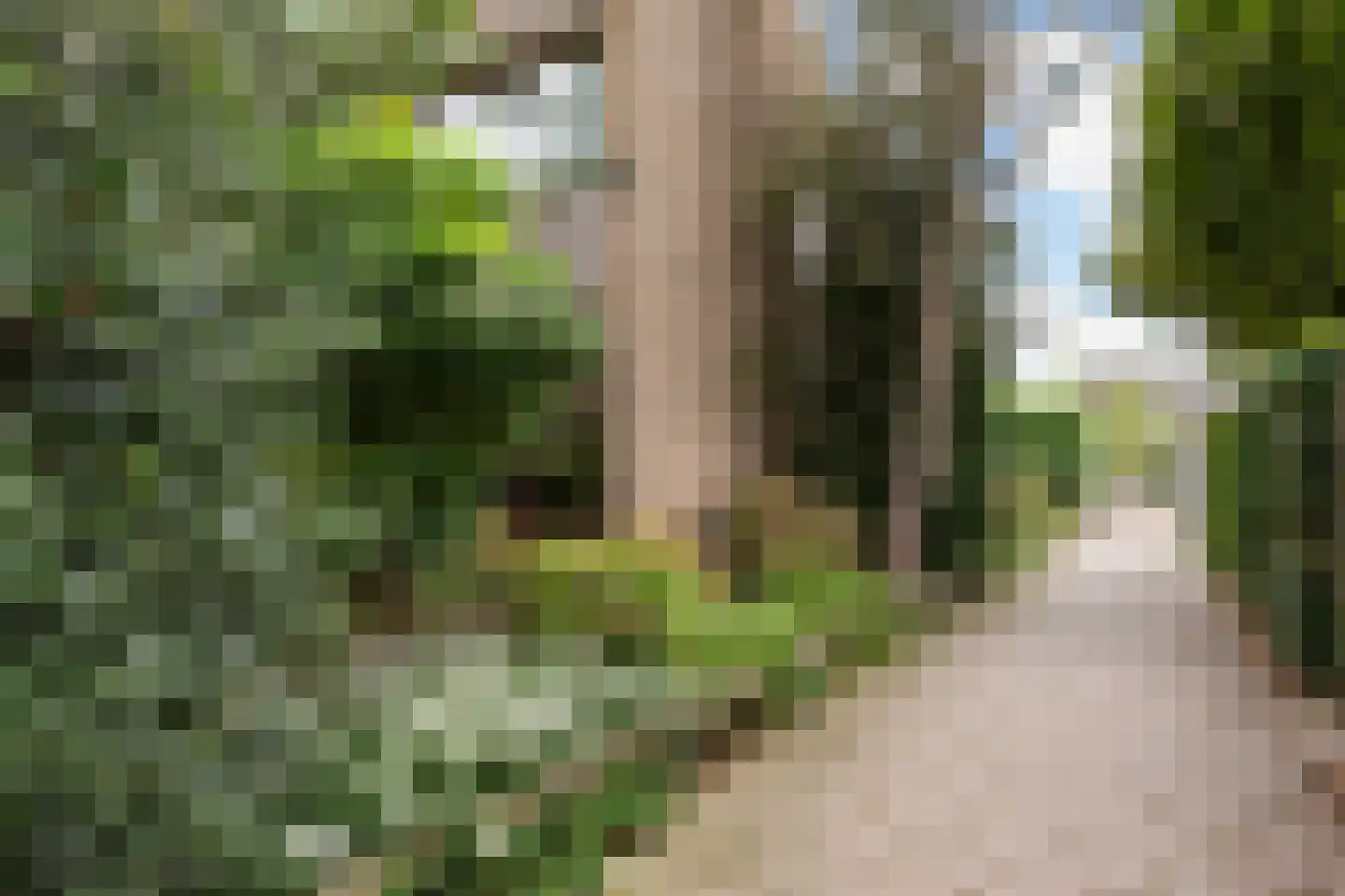 Kalmoes 12 Reeuwijk thumbnail 63