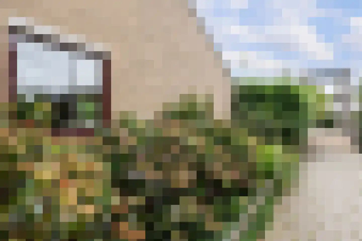 Kalmoes 12 Reeuwijk thumbnail 64