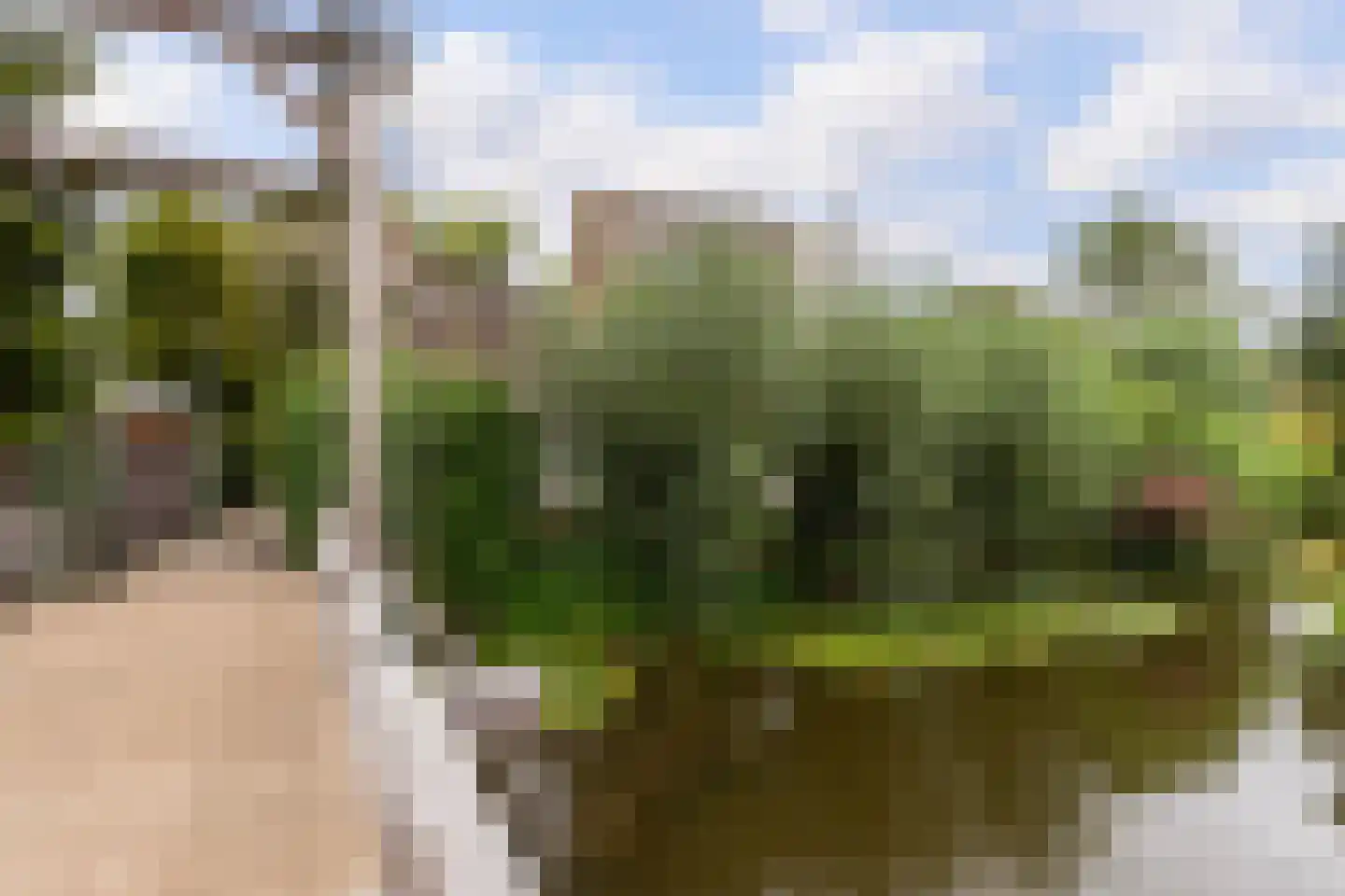 Kalmoes 12 Reeuwijk thumbnail 65