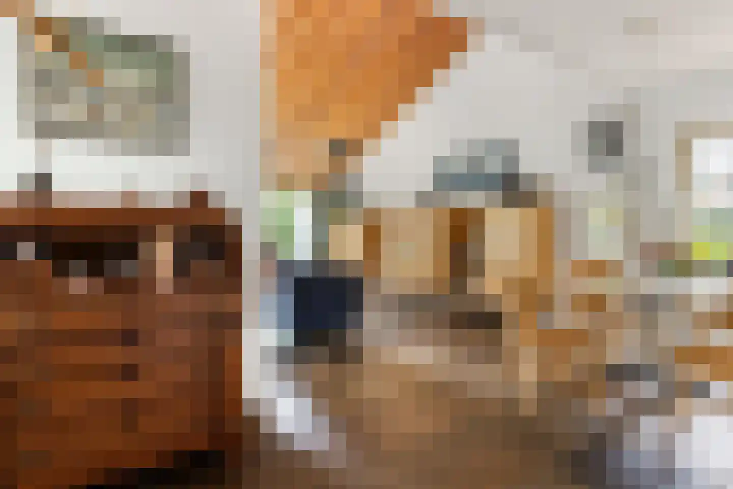 Kalmoes 12 Reeuwijk thumbnail 9