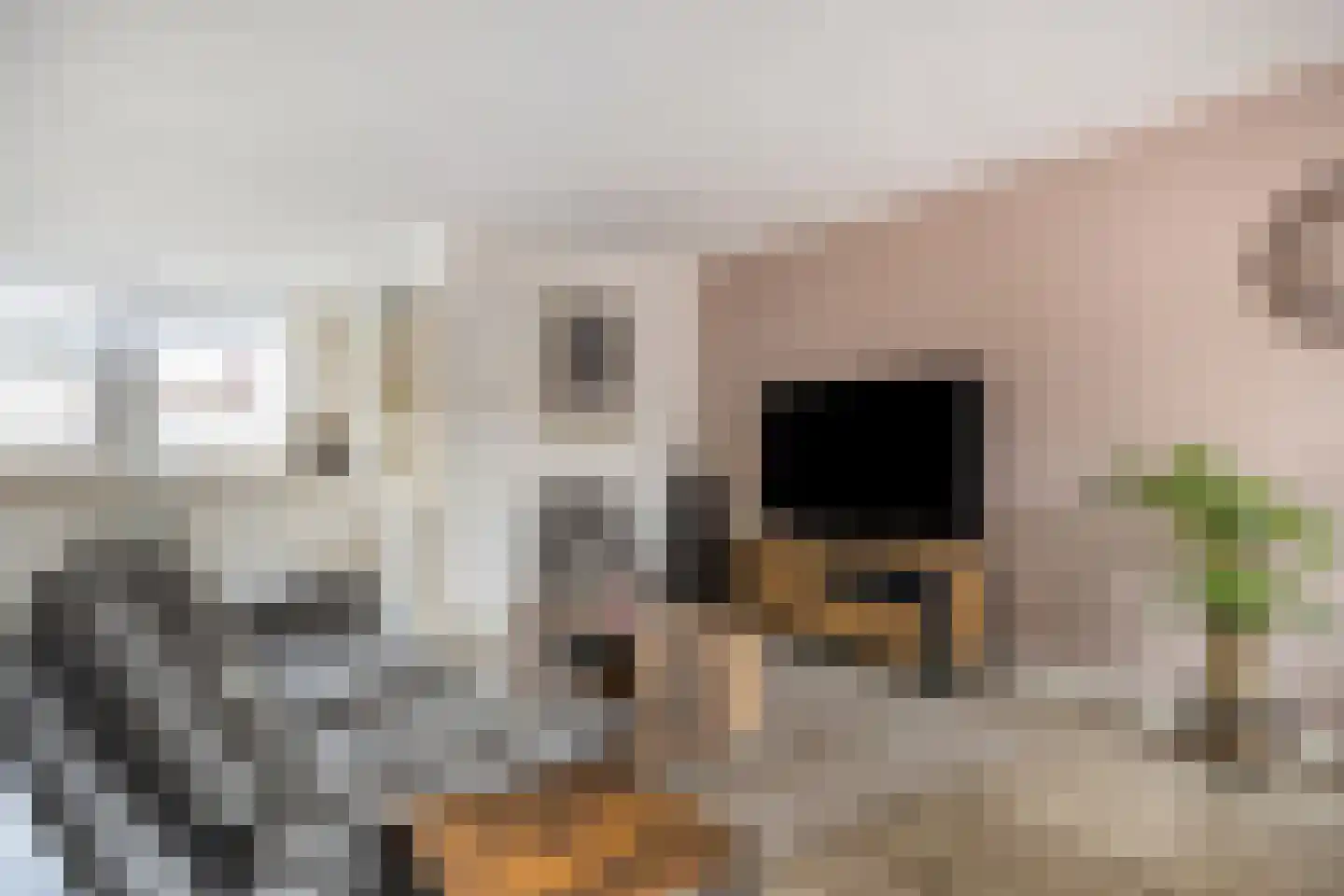 Kalmoes 13 Cuijk thumbnail 15