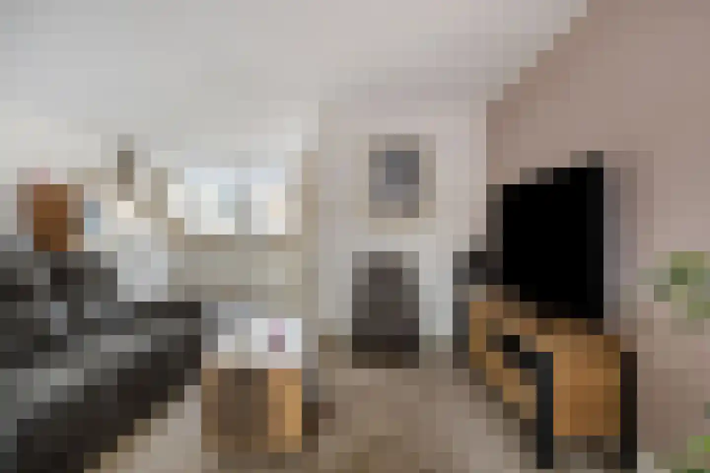 Kalmoes 13 Cuijk thumbnail 16